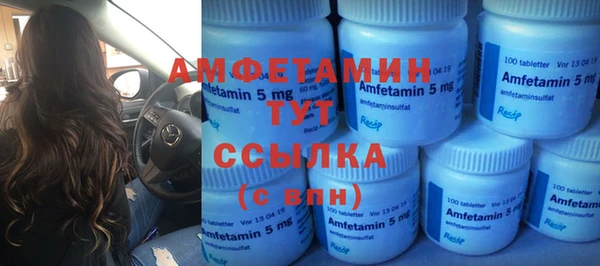 спиды Богородицк