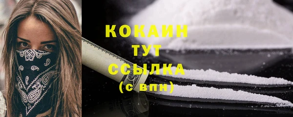 винт Богданович