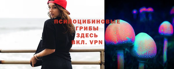 спиды Богородицк