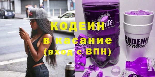спиды Богородицк