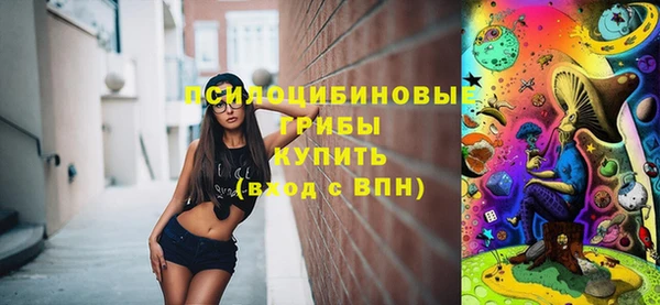 винт Богданович