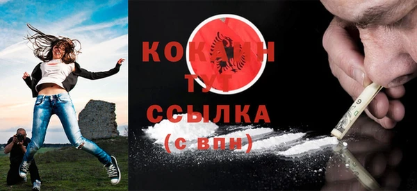 спиды Богородицк