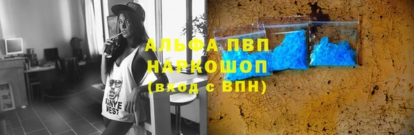винт Богданович
