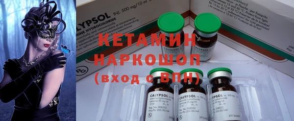спиды Богородицк