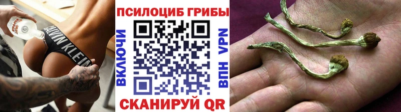 купить наркоту  Плёс  Псилоцибиновые грибы мицелий 
